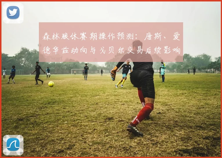 森林狼休赛期操作预测：唐斯、爱德华兹动向与戈贝尔交易后续影响解析